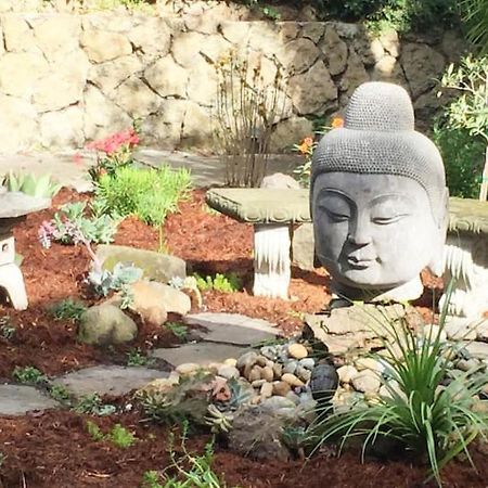 Serene Charming Private Suite Patio, Upscale Berkeley Exteriör bild