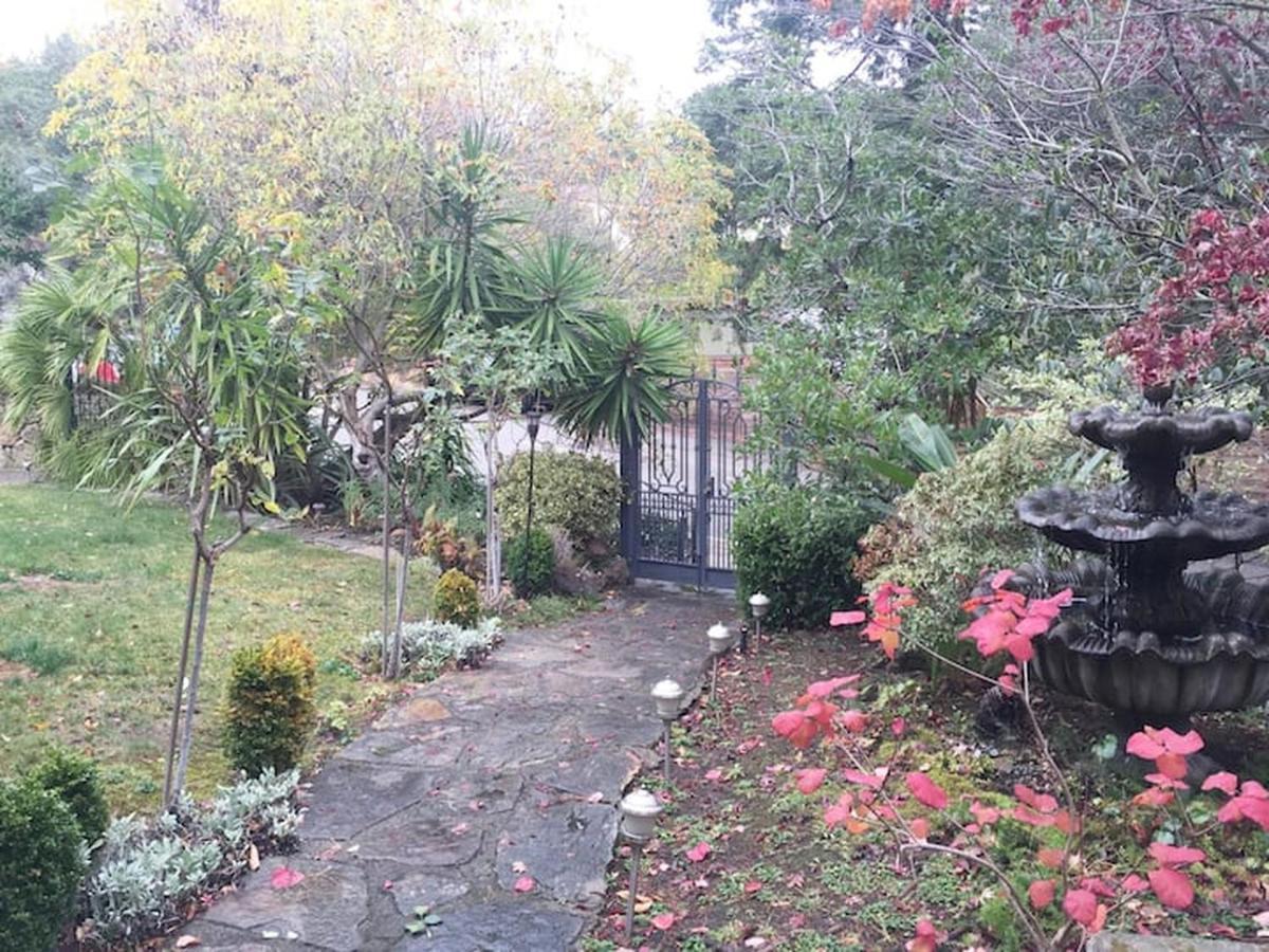 Serene Charming Private Suite Patio, Upscale Berkeley Exteriör bild